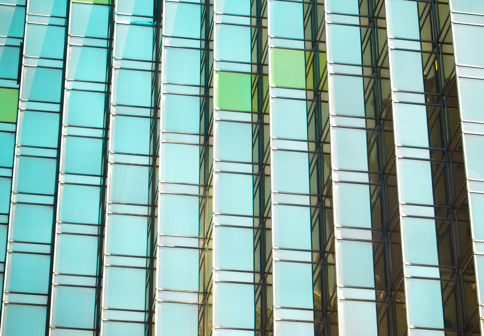 Curtain Wall