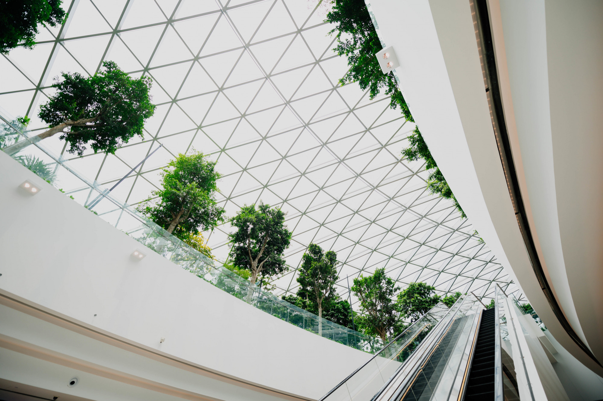 Canopies & Skylights
